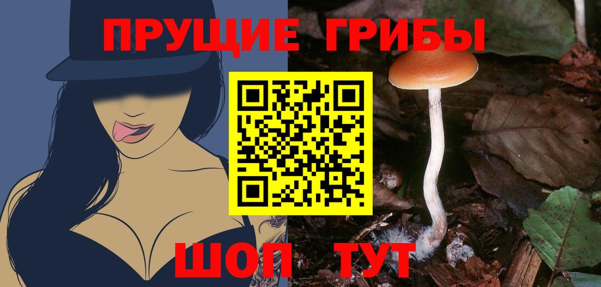 Псилоцибиновые грибы GOLDEN TEACHER Лабинск